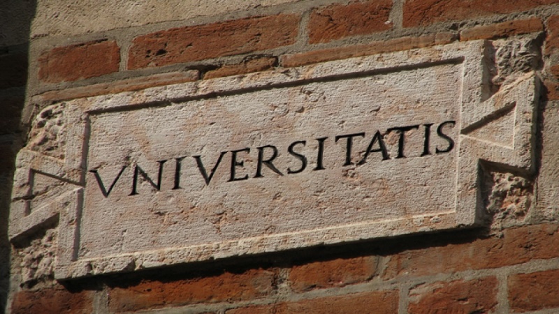 In risposta al 